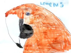 Lowen, 5, Parroty the parrot