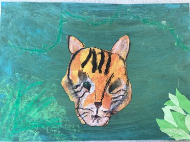 Chapter 4 'India Land of the Tiger'
