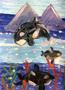 Alba, Age 9, Orcas having fun, A4